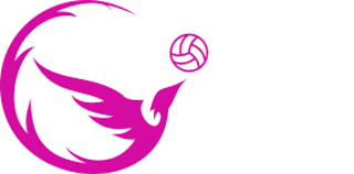 Image result for Cd Phoenix Netball Club