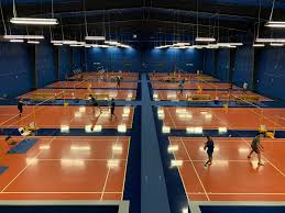 Image result for Belle Vue Juniors (Essex) Badminton Club