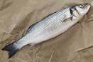 Grilled Branzino with Rosemary Vinaigrette Recipe | Simply Recipes