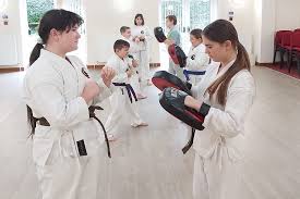 Image result for Taunton Karate academy