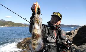 「ダークアイ・Ｑ」の画像検索結果