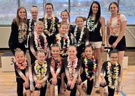Image result for Elite Recreational Gymnastics Club