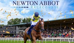 Image result for Newton Abbot Somersaults Gc