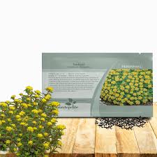 Attēlu rezultāti vaicājumam “Sedum aizoon fruit”