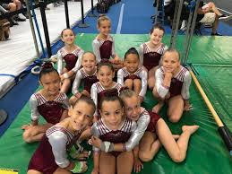 Image result for Epping Forest Elite Gymnastics Club