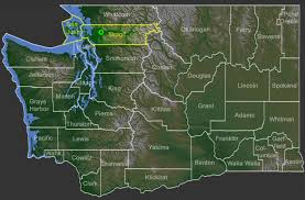 Attēlu rezultāti vaicājumam “Eocronartium muscicola”