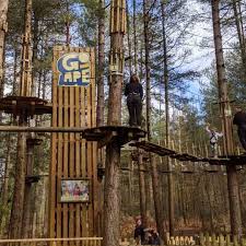 Image result for Go Ape! Moors Valley