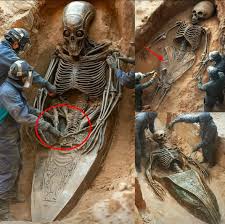 Image result for Aikido - Shobu UK (Newton in furness)