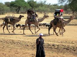 Image result for Nomads