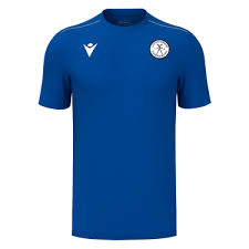 Image result for Lochcarron Camanachd