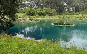 Image result for Mid Thame Model Boat Club