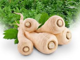 Image result for Pastinake