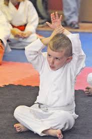 Image result for Taunton Karate academy