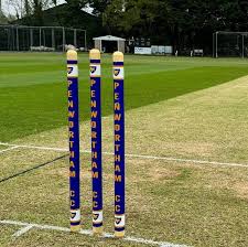 Image result for Penwortham Cricket Club