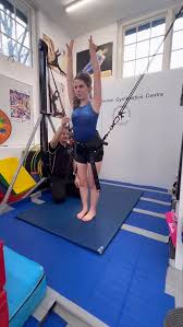 Image result for Sponte Sua Gym