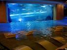 Images Golden Nugget SHARK TANK 2293