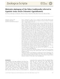 Image result for Cyprinus multitaeniatus