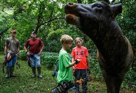 Image result for Panther Bowhunters Field Archery Club