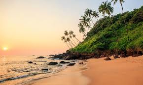 Image result for goa beaches
