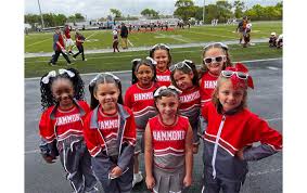 Image result for Hedingham Hawks Youth Football Club