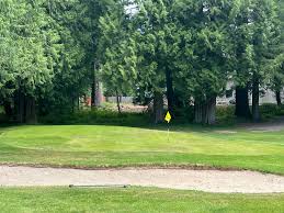 Image result for Delphi Bowls Club