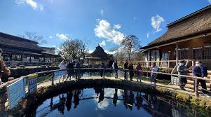 Image result for 水野X68仁義