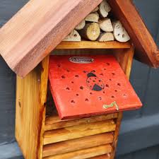 Image result for ladybug house