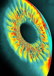 Image result for heat map eye