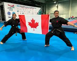 Image result for Devines Martial Arts
