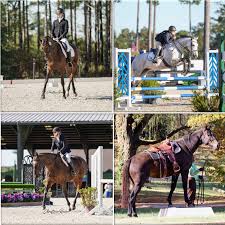 Image result for Blackpool & Fylde Horse Club