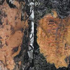 Attēlu rezultāti vaicājumam “Hapalopilus aurantiacus”