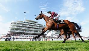 Image result for The Horse Racing Club