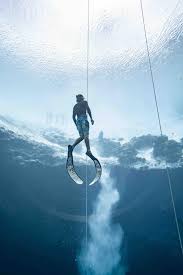 Image result for Blue Water Freediving School