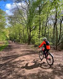 Image result for Epping Forest Mountain Bike Club