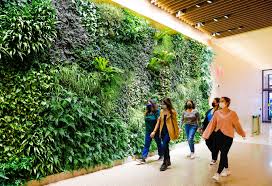Image result for living wall