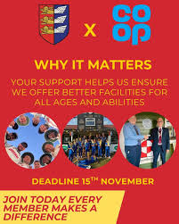 Image result for Sandwich Town Cricket Club