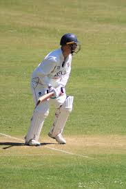 Image result for Redlynch and Hale Cricket Club