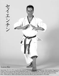 Image result for Zen Shin Seicho Do Adult Karate