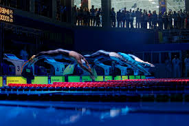 Image result for Swansea Finswimming Club