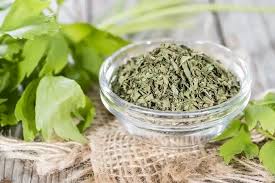 Attēlu rezultāti vaicājumam “Levisticum officinale leaf”