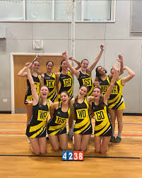 Image result for Beacon Netball Club