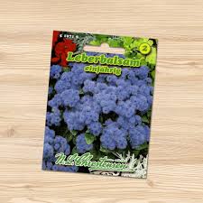 Image result for Leberbalsam