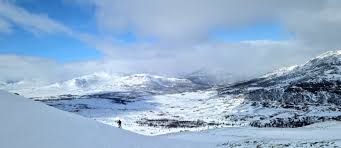 Image result for Tyneside Loipers