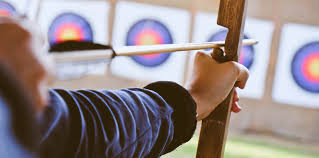 Image result for Blue Arrows Archery Club