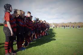 Image result for Wellington Rugby Football Club Limited