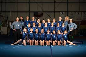 Image result for Holbeach and Fenland Gymnastics Club