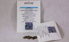 Image result for Glockenrebe