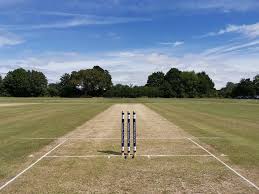 Image result for Edenbridge Cricket Club