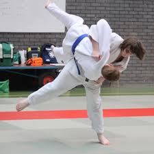 Image result for Didcot Judo and Karate Club