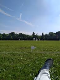 Image result for Bay Dragons CC